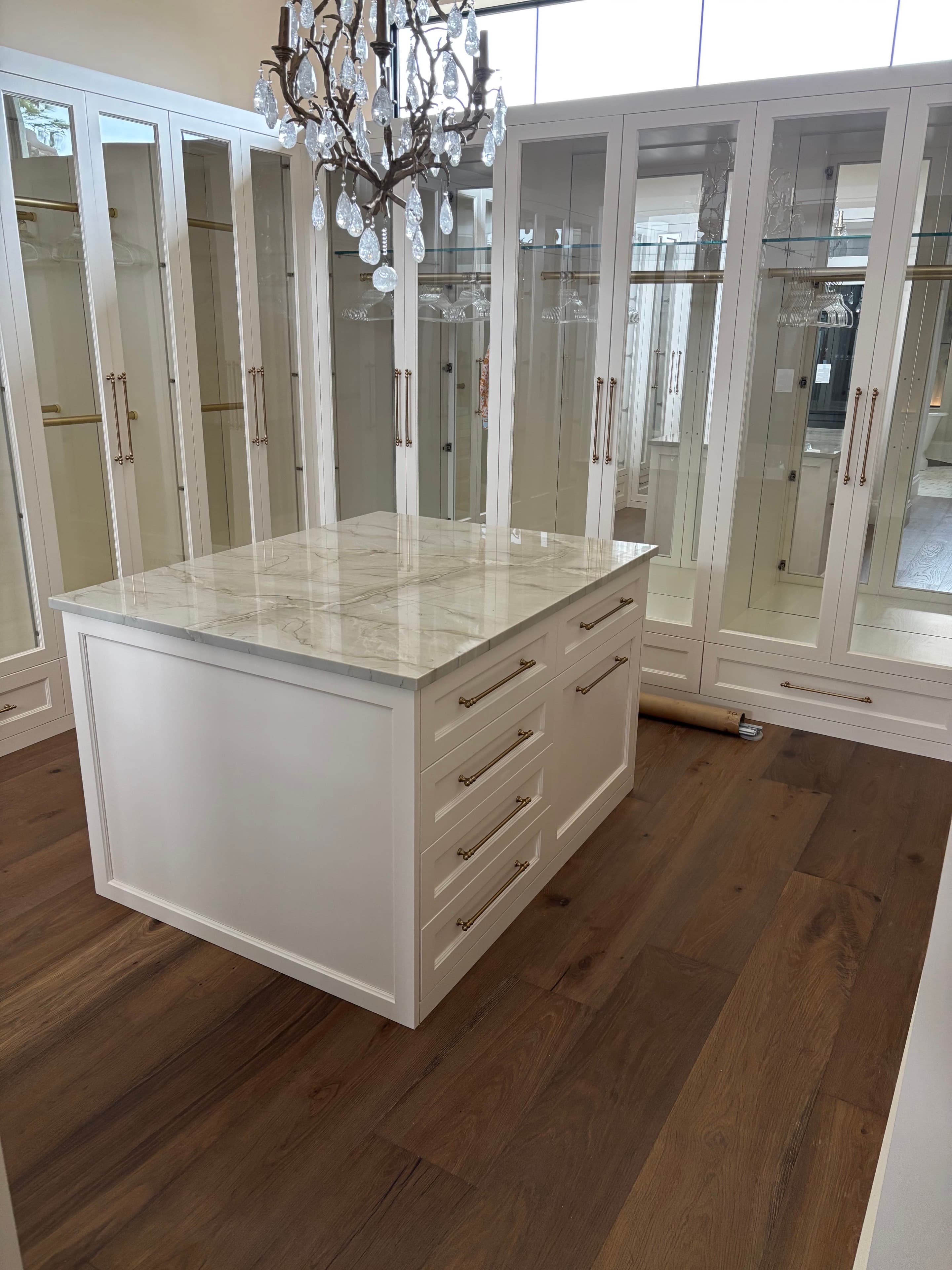 Custom Closets project 20